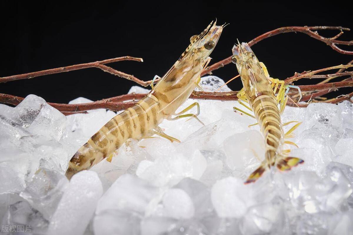 草虾和斑节虾有什么区别?菜市场买虾时,被别人忽悠了_价格_虾子_品种