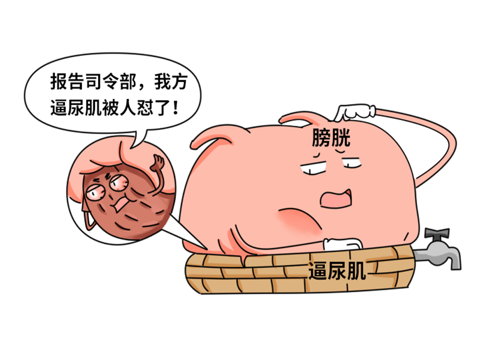 99%的男人在游泳,洗澡时都做过这件事_尿意_膀胱_肌肉