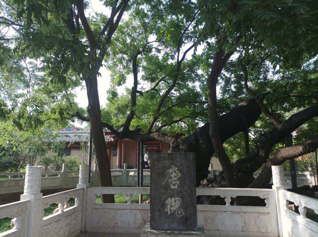 狄仁傑文化公園,位於山西省太原市狄村街以北,唐槐東巷以西,是為紀念