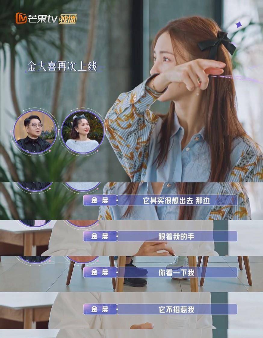 《女儿们的恋爱》当金晨一旦变成金大喜,陈一鸣好像就不知所措了_get