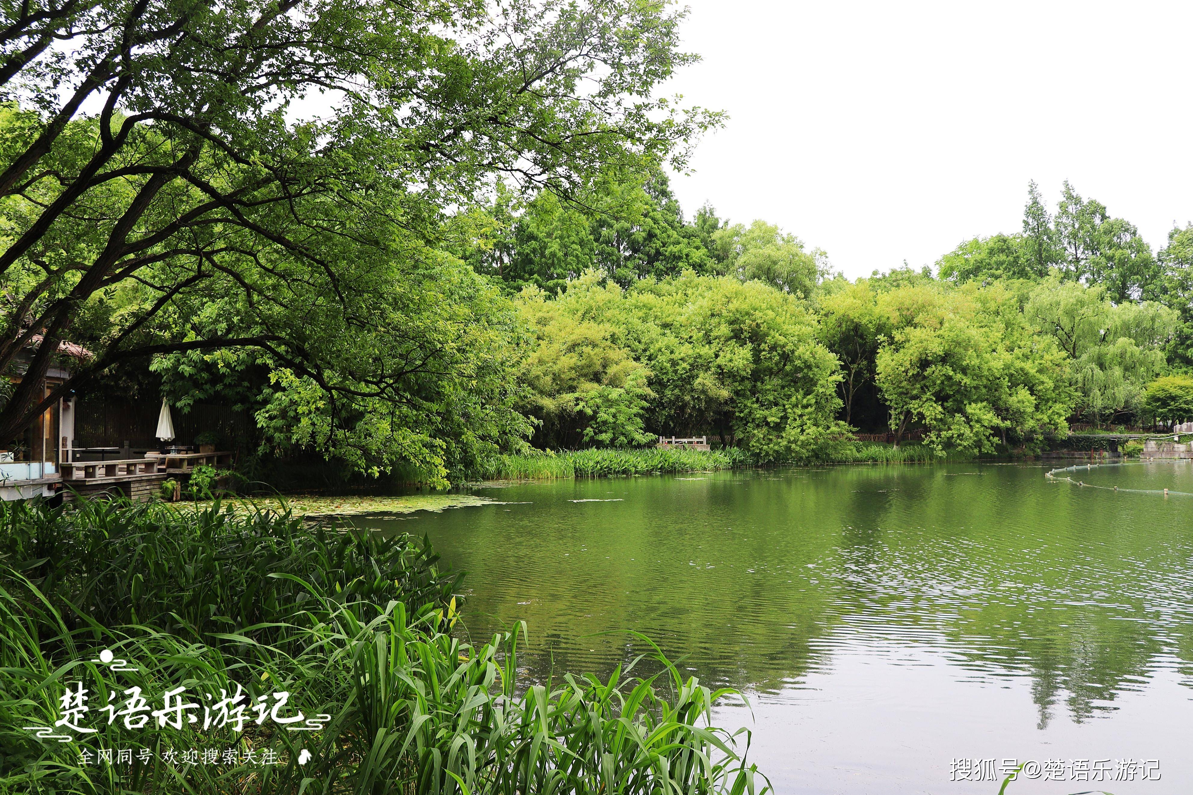 杭州浴鹄湾景区图片