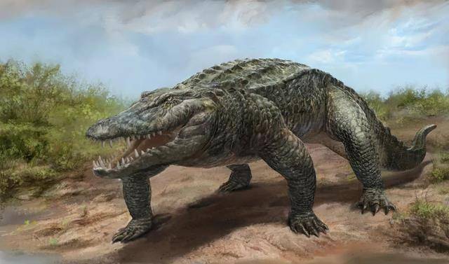 《史前巨鳄》养巨鳄居然每天给它吃一头牛,得是什么家庭_研究_鳄鱼