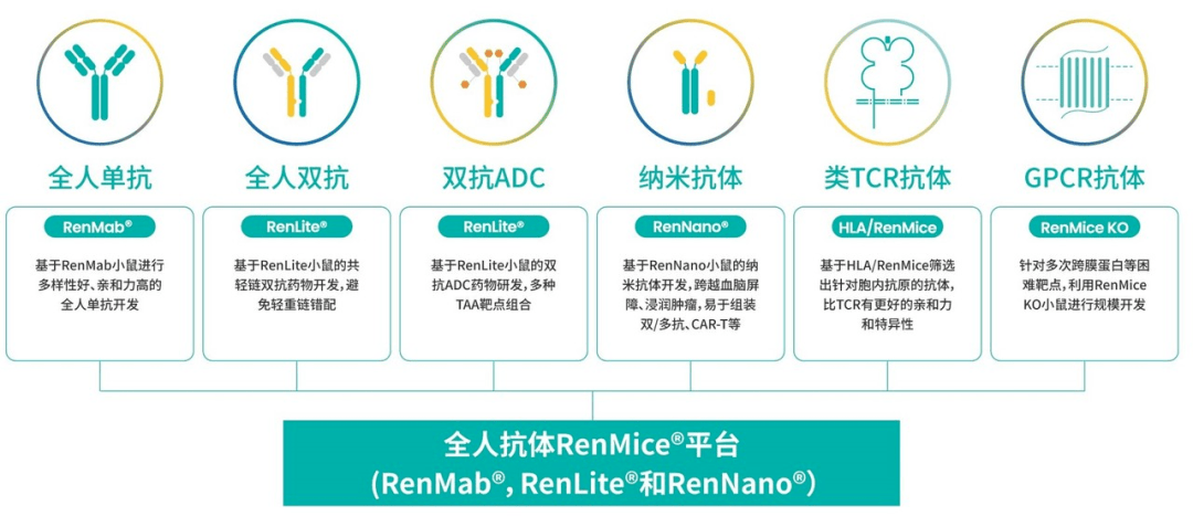 在第70届日本实验动物学会年会与百奥赛图亚太商务团队见面