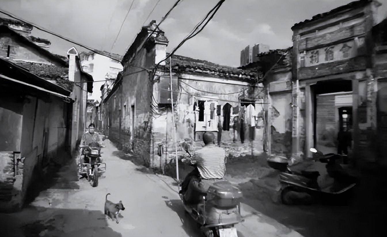 27年后弟弟生活美满寻姐姐报恩_蔡小明_易彩虹_继父