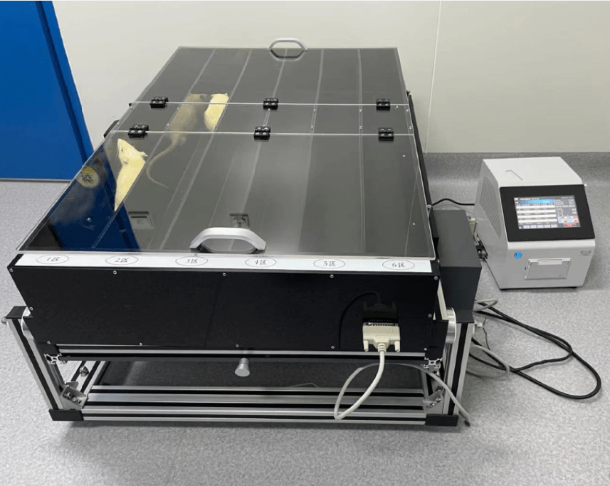 (段)大小鼠跑步机;小鼠实验跑台_操作_尺寸_训练