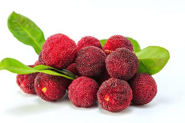 那孩子适当的吃一些杨梅,对健康有哪些好处呢?