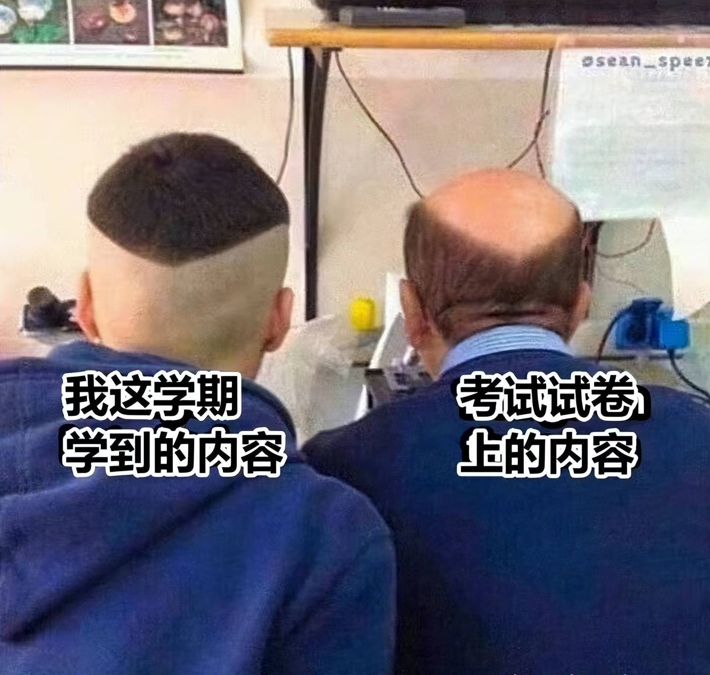 "很怀疑他们的精神状态",大学生做梗图吐槽考试,网友笑出鹅声_时候