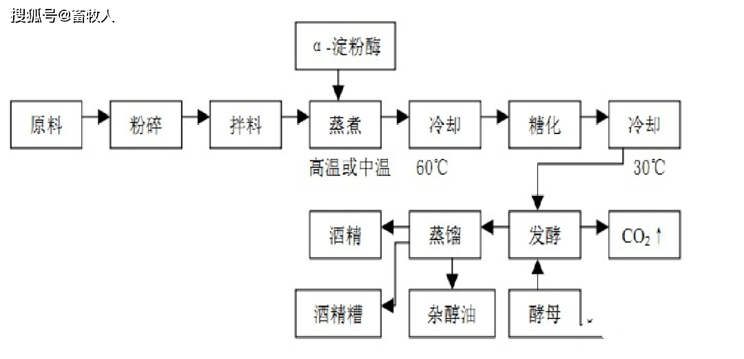 在以玉米为原料发酵制取乙醇过程中,其中的淀粉被转化成乙醇和