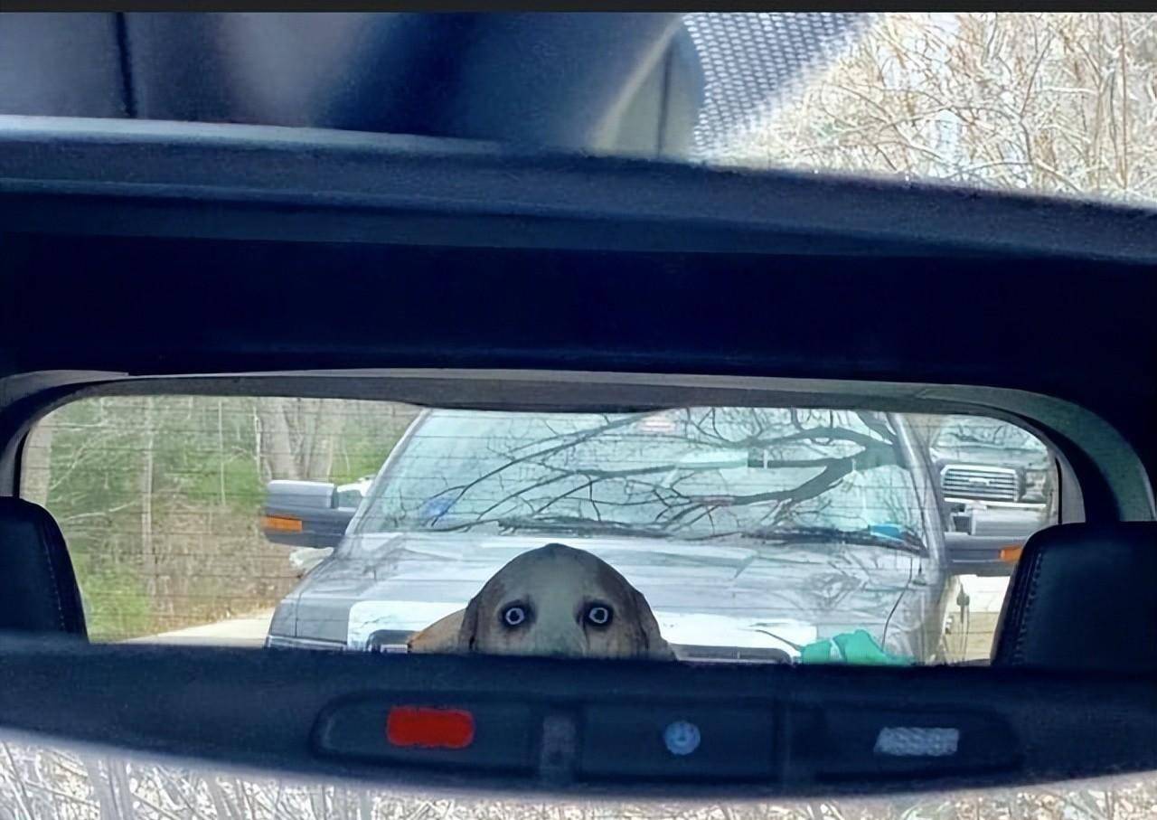 36张具有恐怖谷效应的图片_人类_感觉_来自