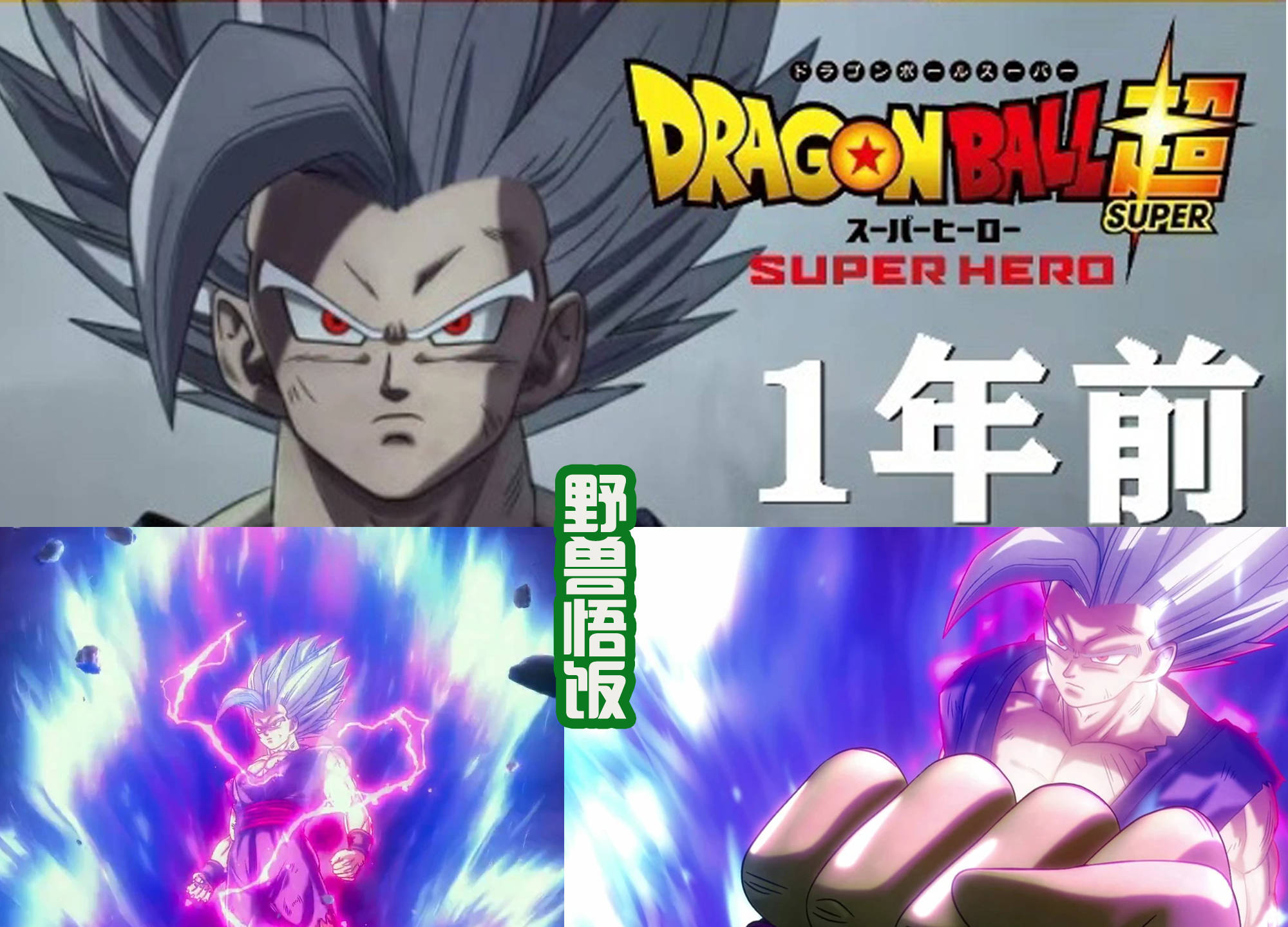 龙珠超诞生的10年间,出现多少新形态?