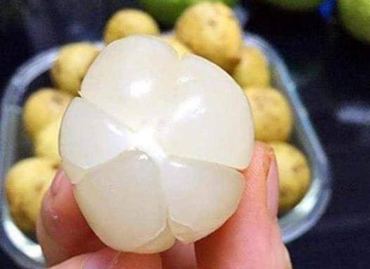 朋友随手在树下捡了个达林果,剥开外壳后发现里面的果肉跟龙眼非常