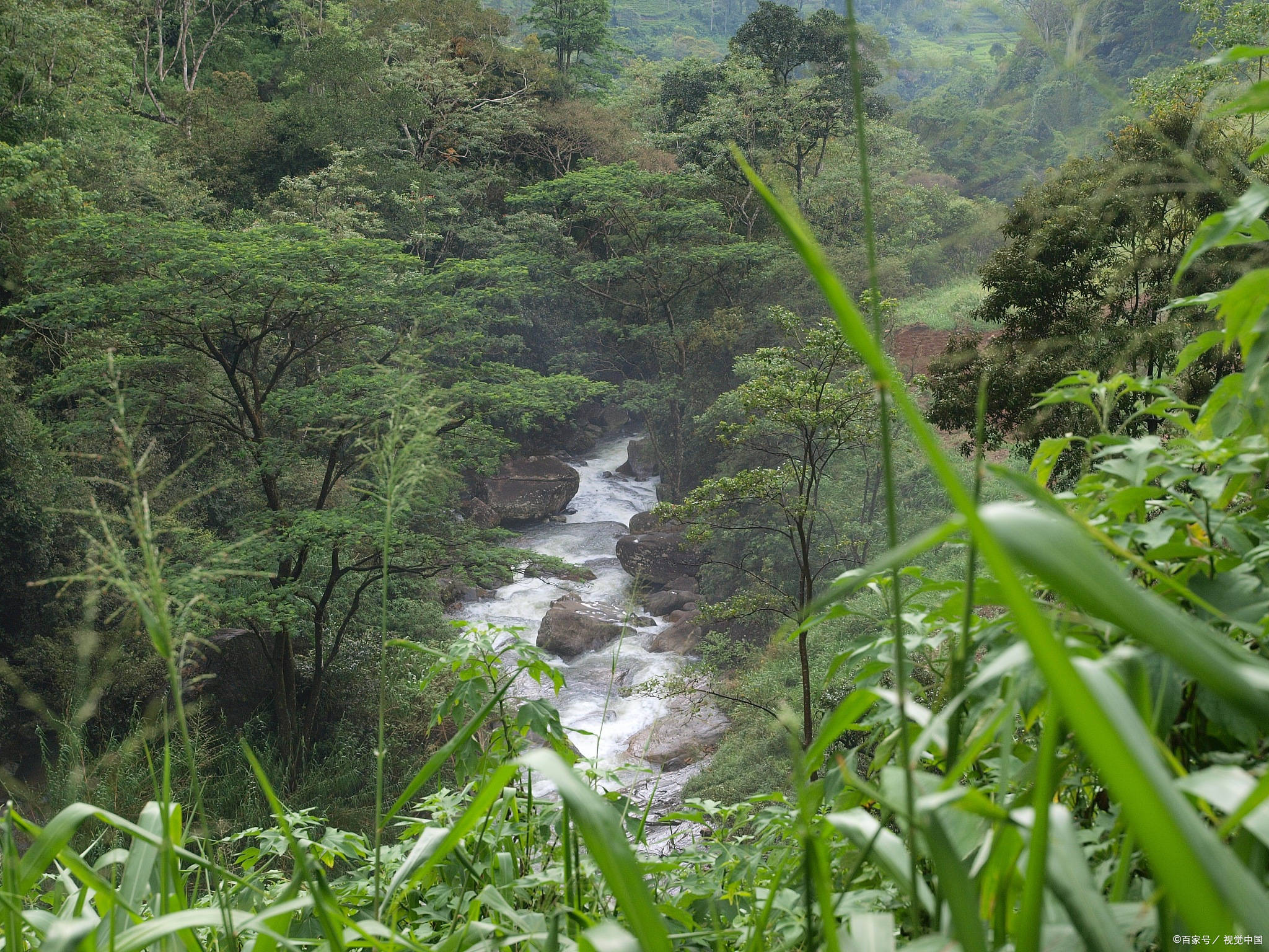 走进重渡沟景区,感受竹林长廊与碧剑刺天的震撼_娱乐_游客_温泉仅
