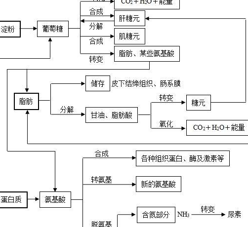 原创            脂肪肝是如何形成的？有哪些危害？该如何消除？一文给大家解答