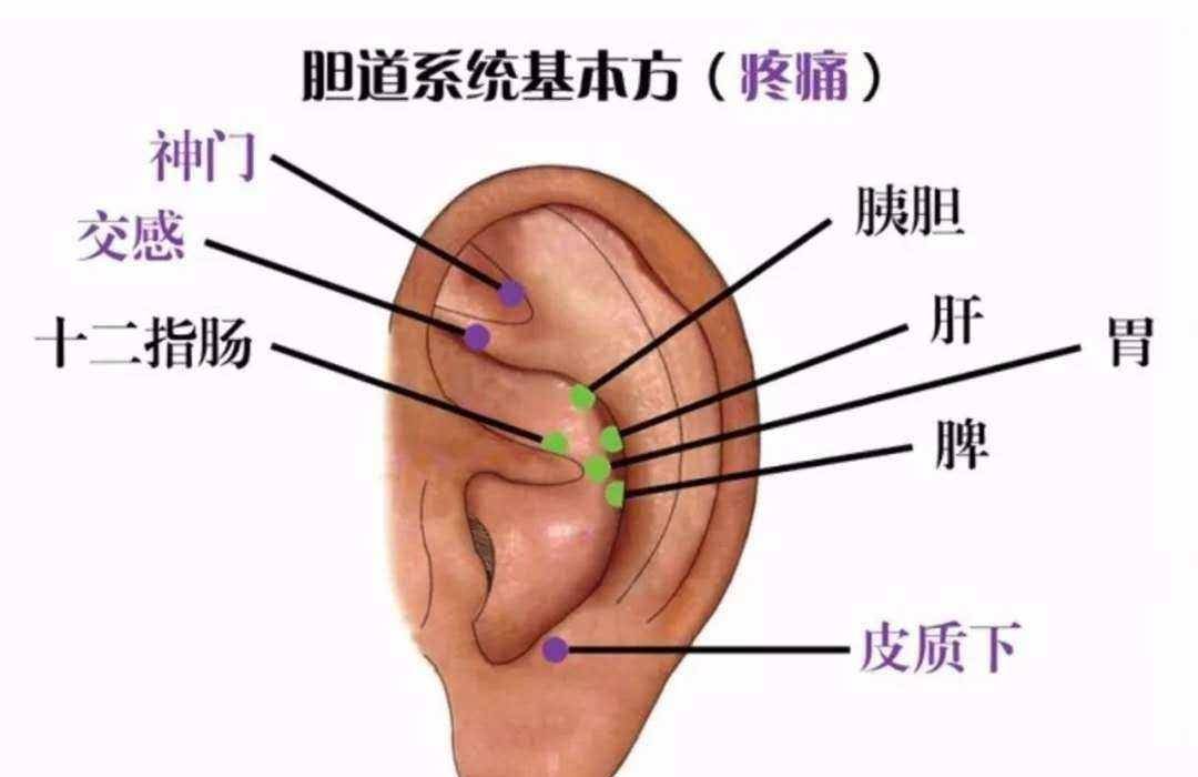 耳朵上哪些穴位可以消除疲劳