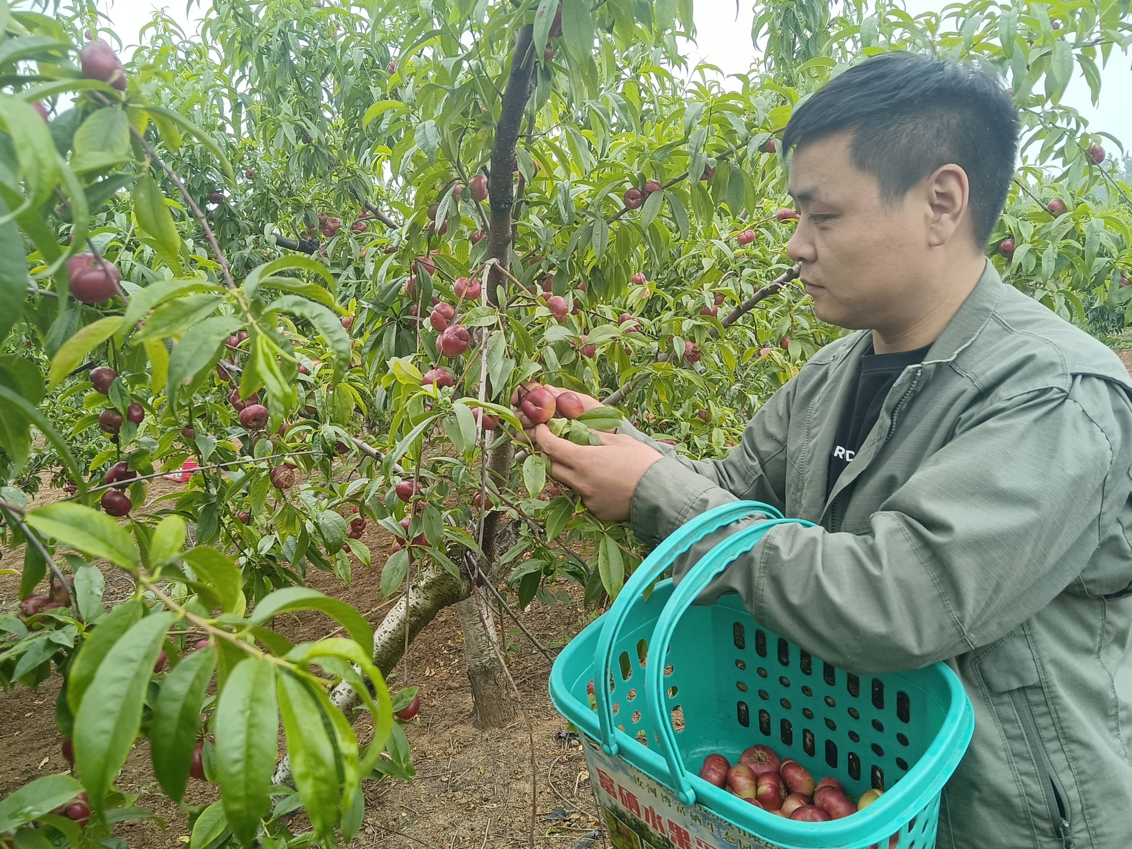 平顶山市生态园简介图片