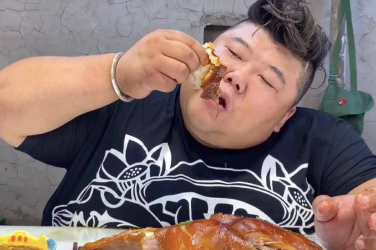 网红胖猴一切结束,体重回升到600斤危及健康,教练表示救不了_猴子