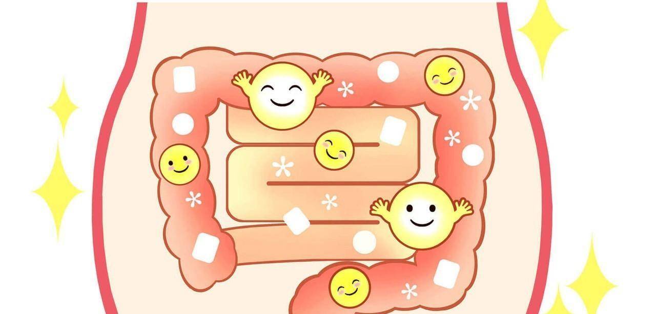 曾遭丢弃的膳食纤维,现被《柳叶刀》点名夸赞:降患病