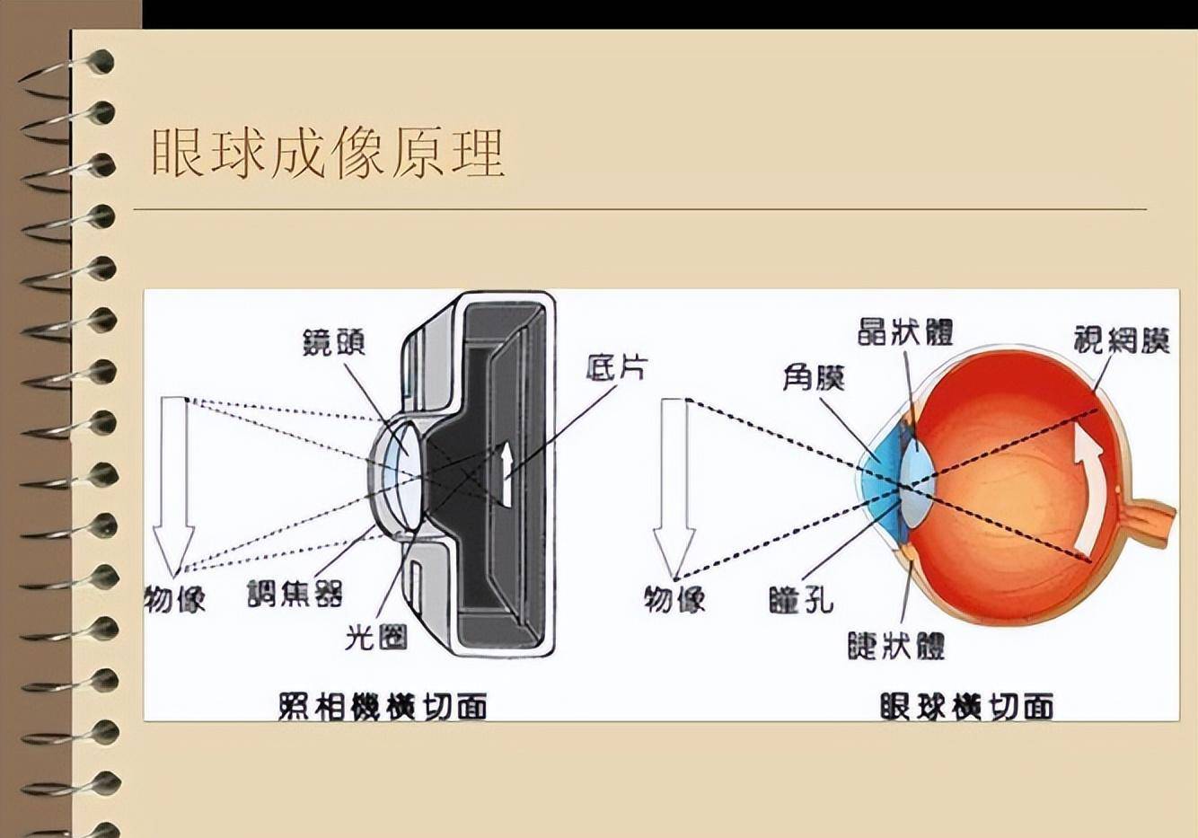 分辨率和圖像質量,實現實時成像和數據處理,改善系統的便攜性和易用性