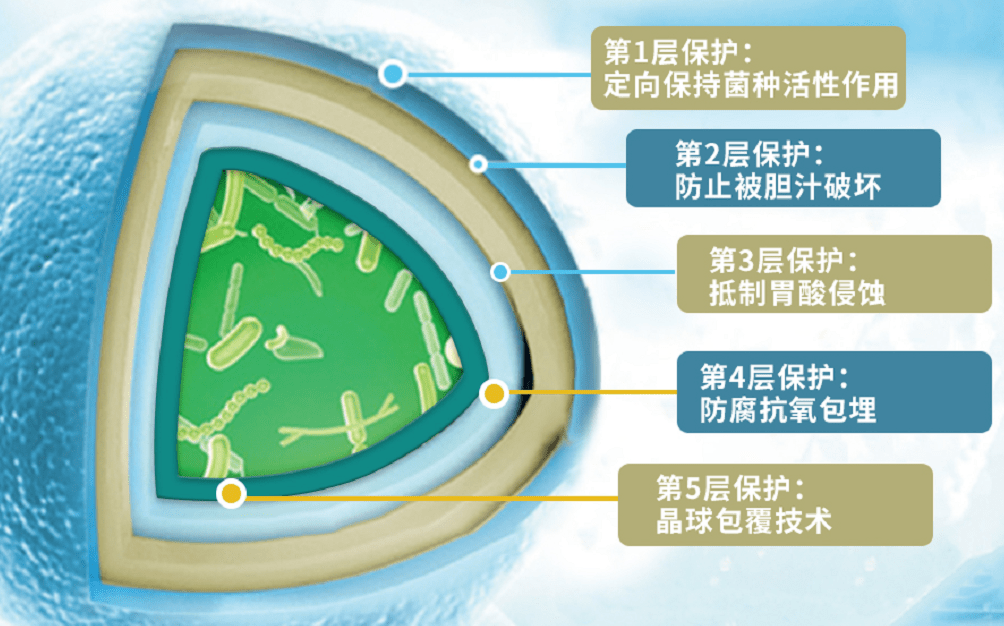 微胶囊包埋技术图片