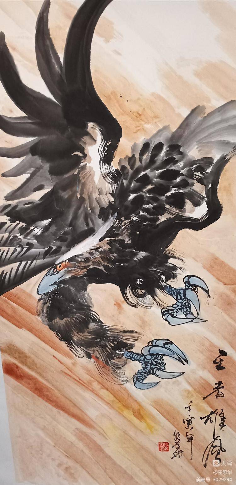 中国鹰王王照华百幅群鹰图设计展中部_雄鹰_艺术_先生