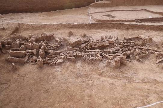 “遗址”“考古中国”进展发布，北京地区首次发现夏商周遗址双环壕聚落