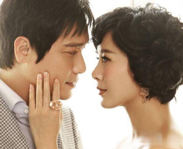 苏岩的上位故事,不简单_作品_罗嘉良_表演