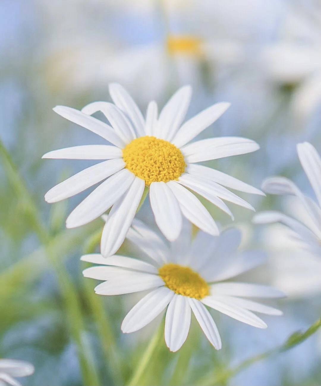 所有的美好纷至沓来,是因为你值得拥有!_回报_都会_人情