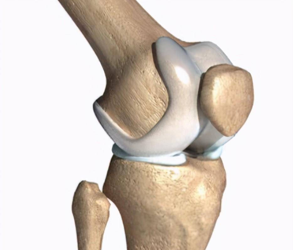 传统医学与现代医学如何治疗膝骨性关节炎?
