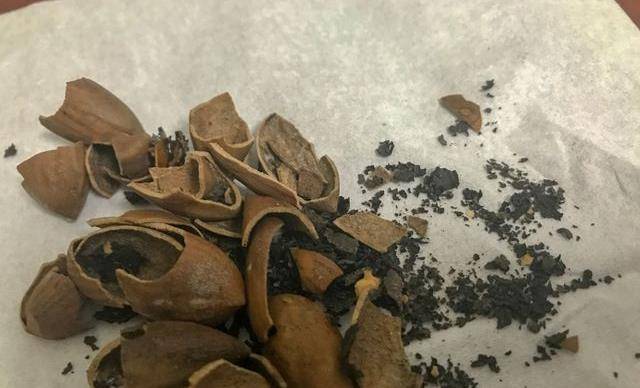香榧子好吃,但是果仁外的"黑衣",其实吃了有好处,你知道么?