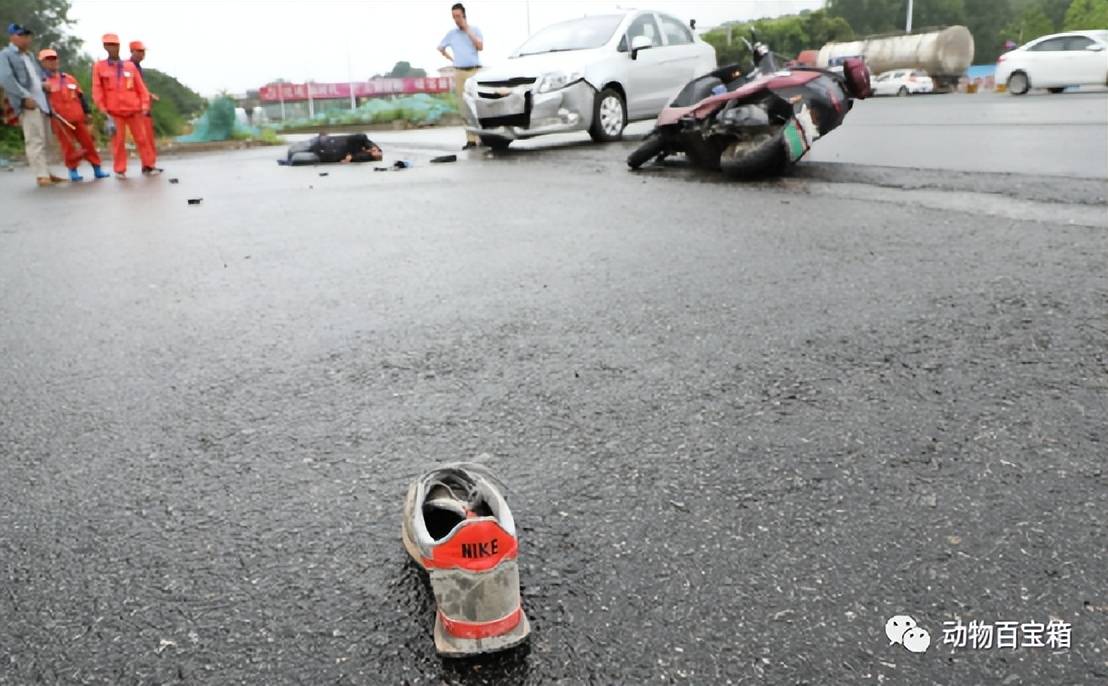 为什么说出车祸后,只要鞋子被撞掉了,人活下来的几率就很低?