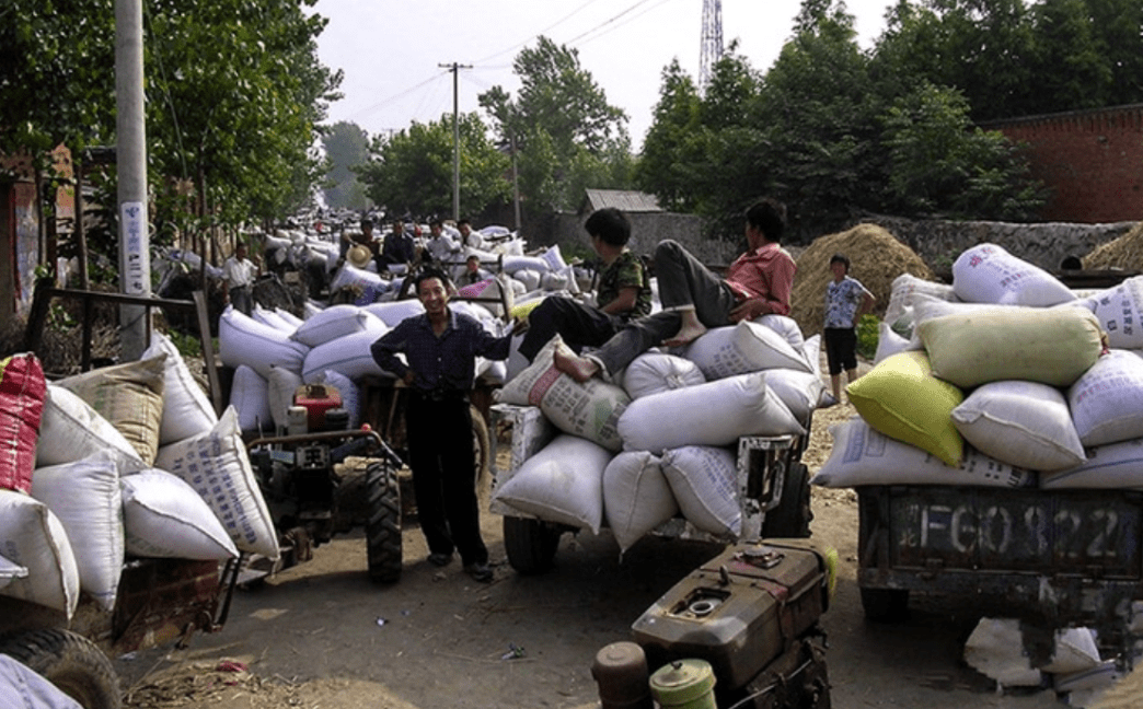 大家交公粮使用的交通工具也多种多样,有拖拉机,牛车,驴车,架子车等等