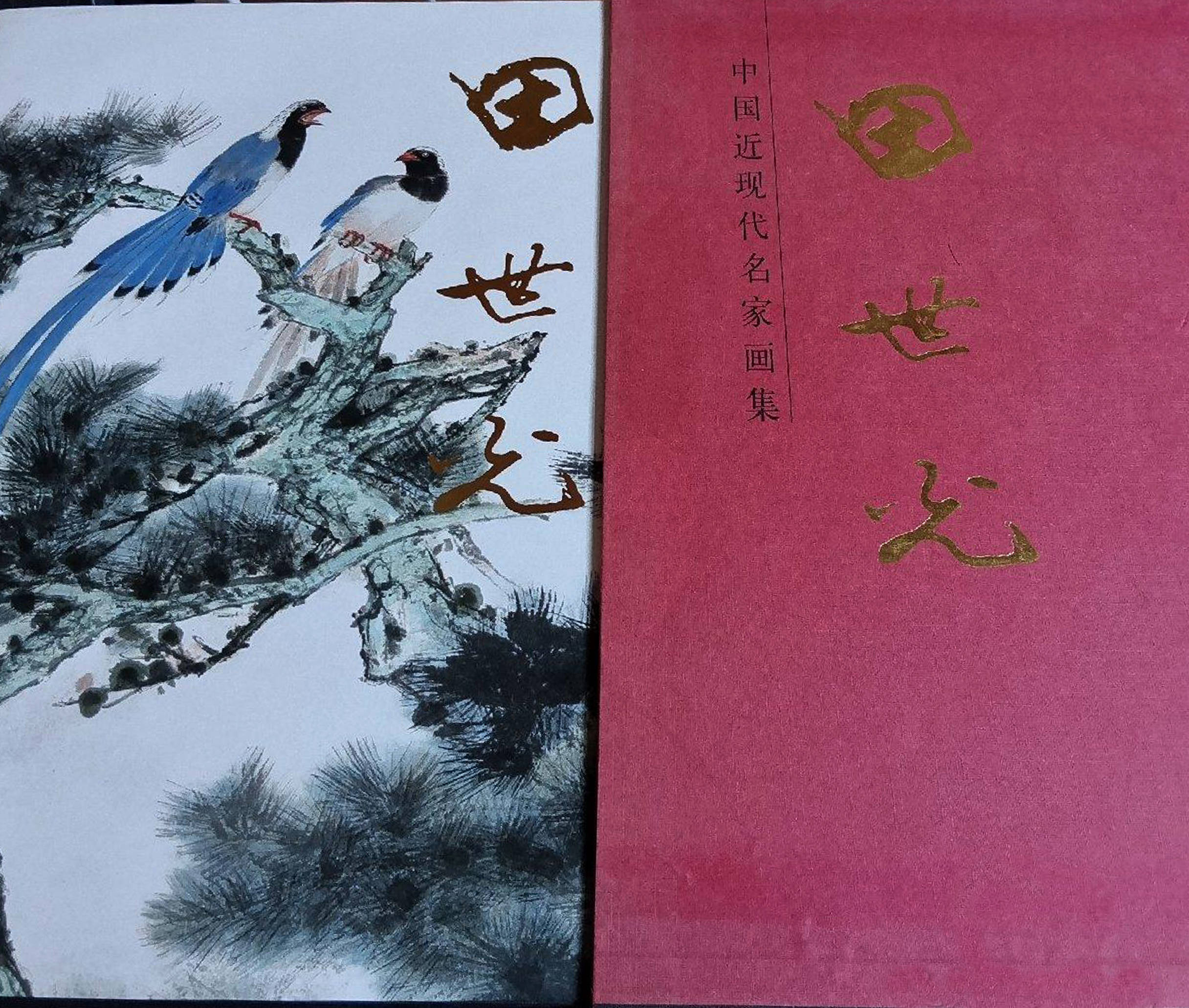 "大红袍"画集有相当一部分是与画家大型个展,画册首发式和学术研讨会