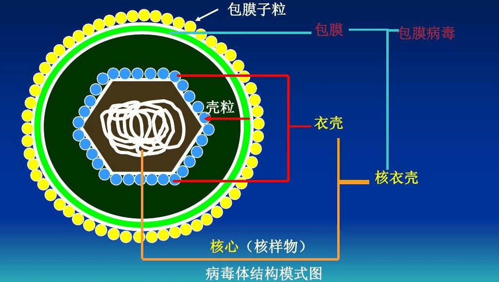 雄黄结构图片