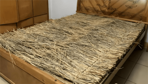 怎么选择环保好床垫?绿色产品更健康_消费_中国_睡眠