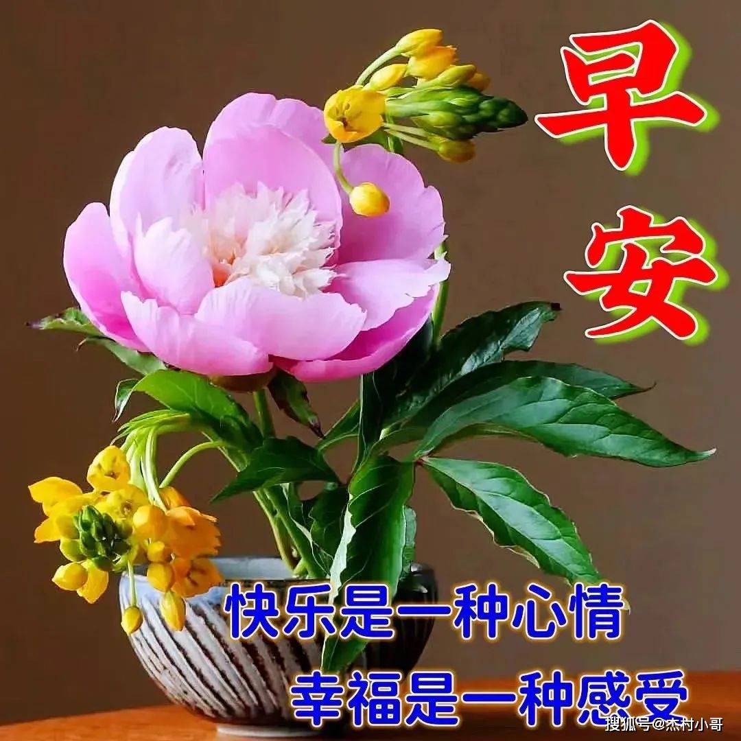 6月7日星期三早安祝福暖心图片带字带早上好语录,祝朋友们幸福吉祥!