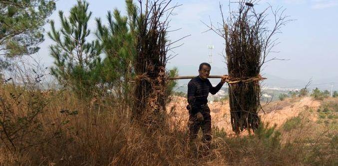 少将郑旭煜,刚刚晋升提拔担任纠察队政委,就差点"丢"了总司令_时期