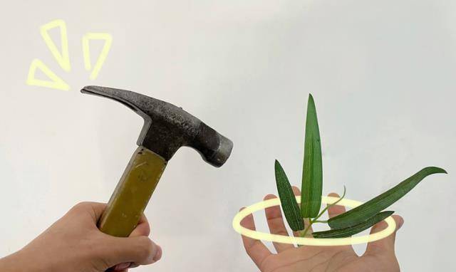 大陆_唐三_顾医生