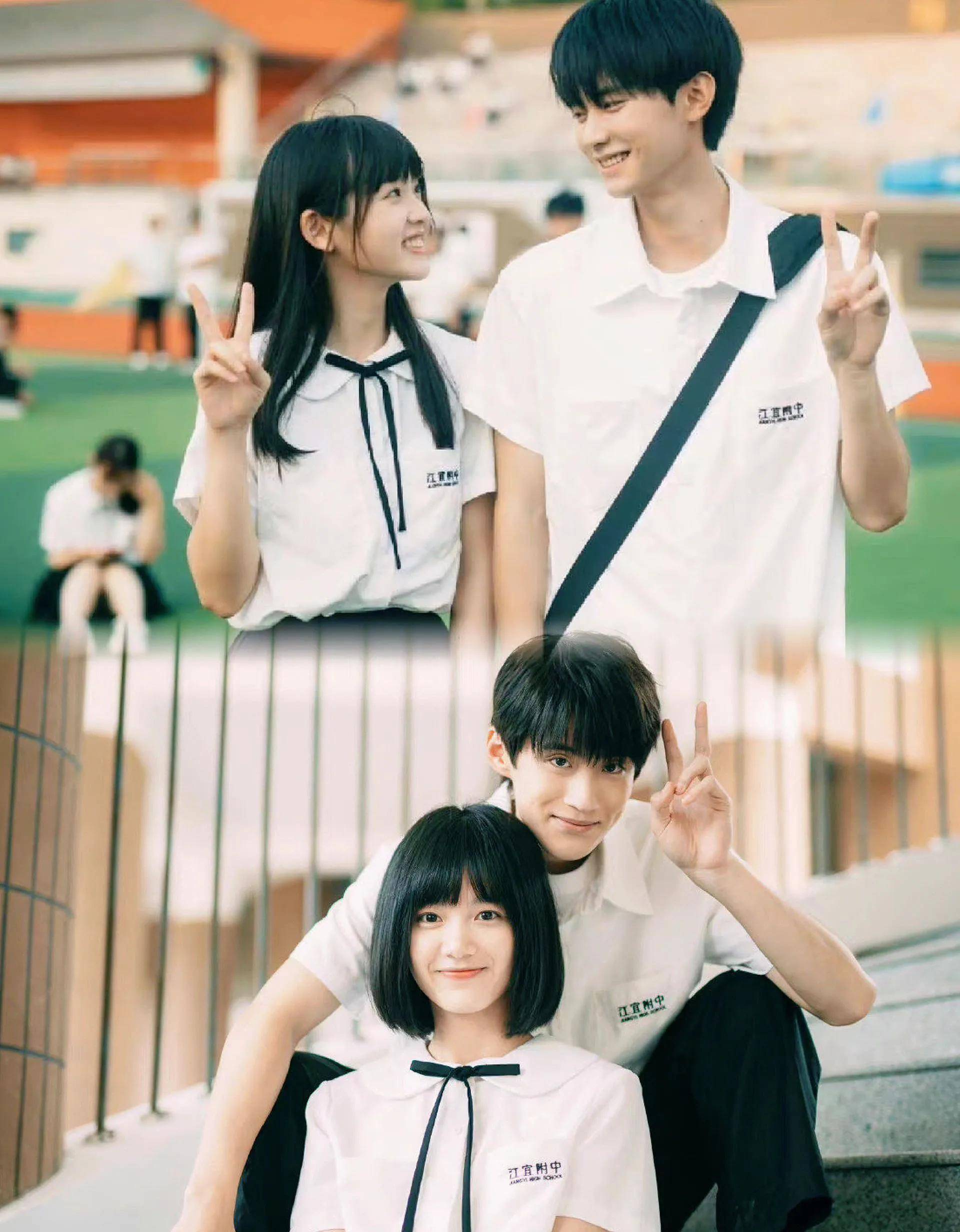 猫的树新剧《当我飞奔向你》