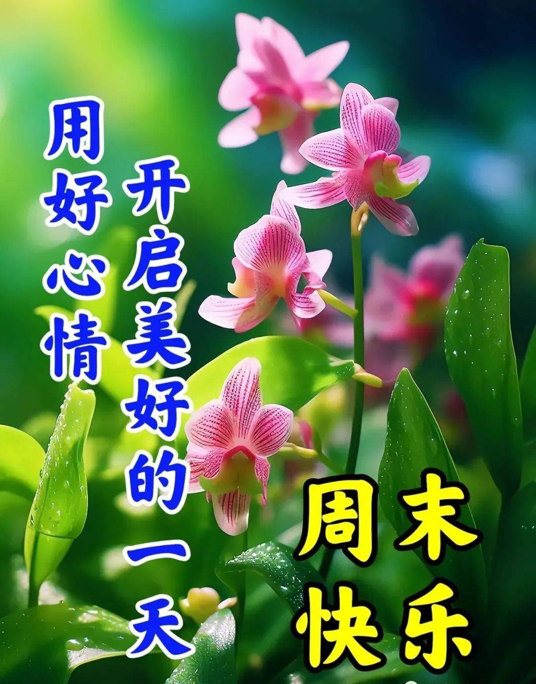 6月10日周六早上好-最新早安漂亮图片祝福_问候_好友_心情