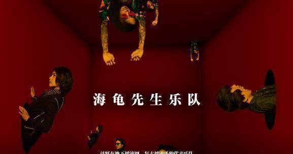 你觉得"海龟先生"会成为第二个黑板乐队吗?