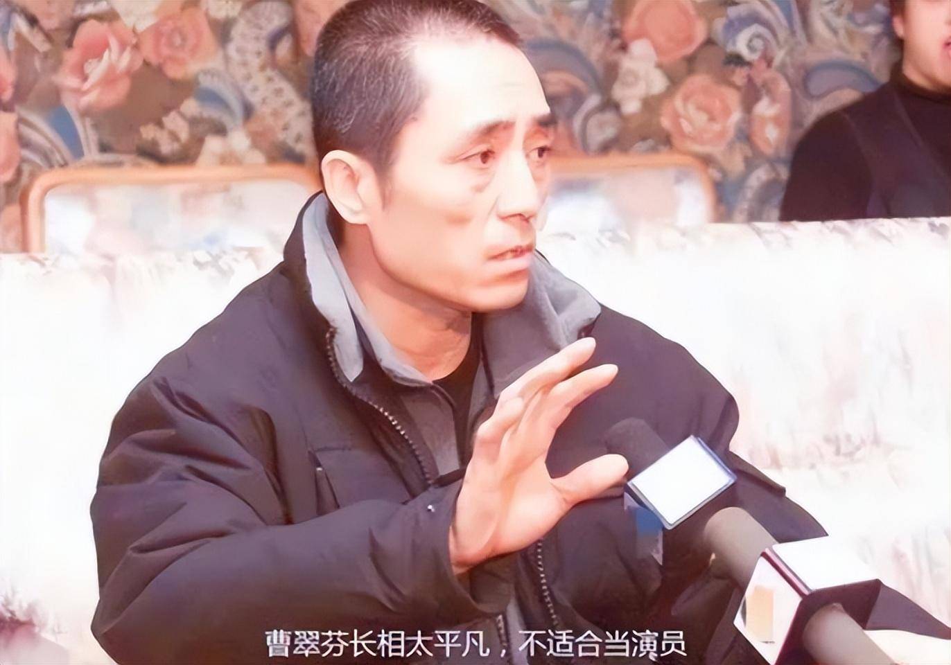 张艺谋_谭天谦_角色