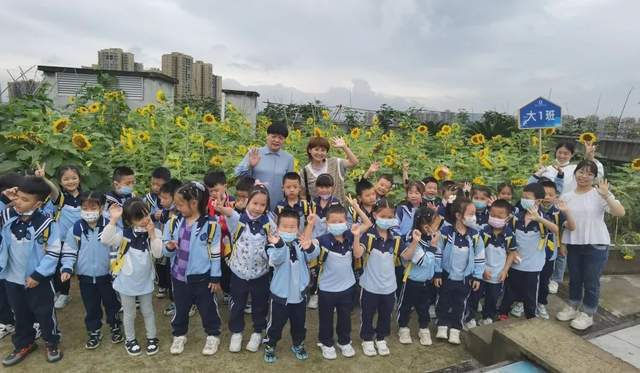 重庆大渡口实验幼儿园图片