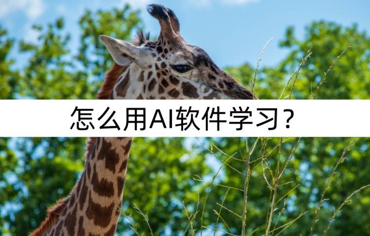 怎么用AI软件学习？AI教师