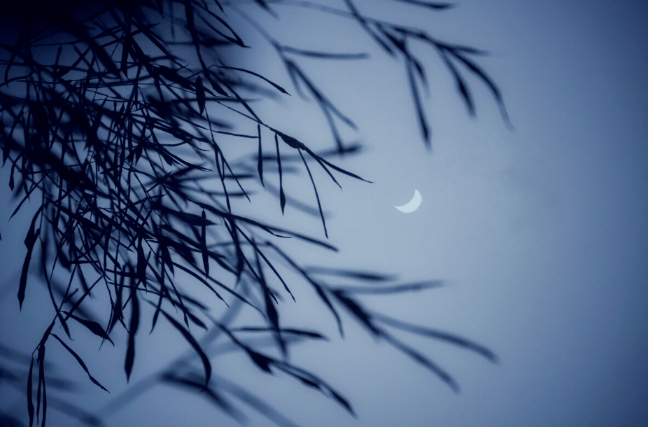 周嗣远 | 67声戾鸣促织,农人夏日忙(诗词八首)_黔南州_竹林_声响