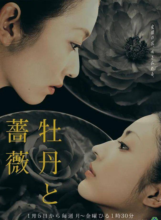 剧中，她是骄横任性的大小姐香世，对姐姐牡丹（大河内奈奈子 饰）的占有欲强到病态