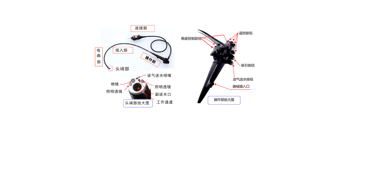 电子上消化道内窥镜注册技术审查指导原则