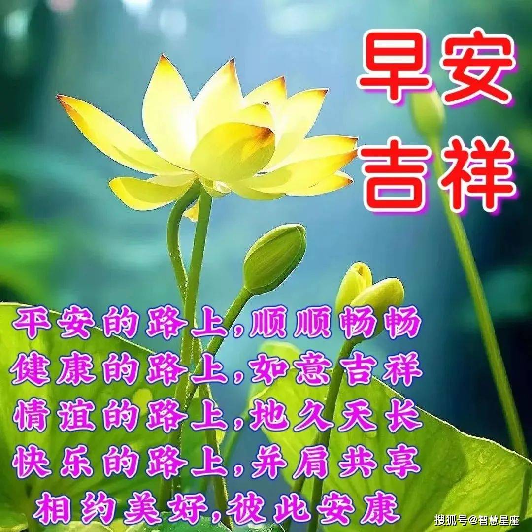 2023年6月7日周三早上好祝福动态表情图片大全_问候_朋友_开心