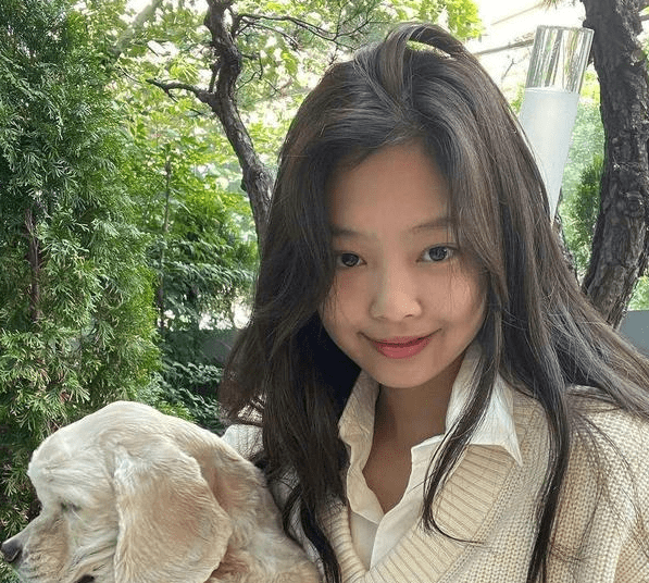曝blackpink金珍妮突然中断演出,事后向粉丝致歉,称正在恢复中_身体