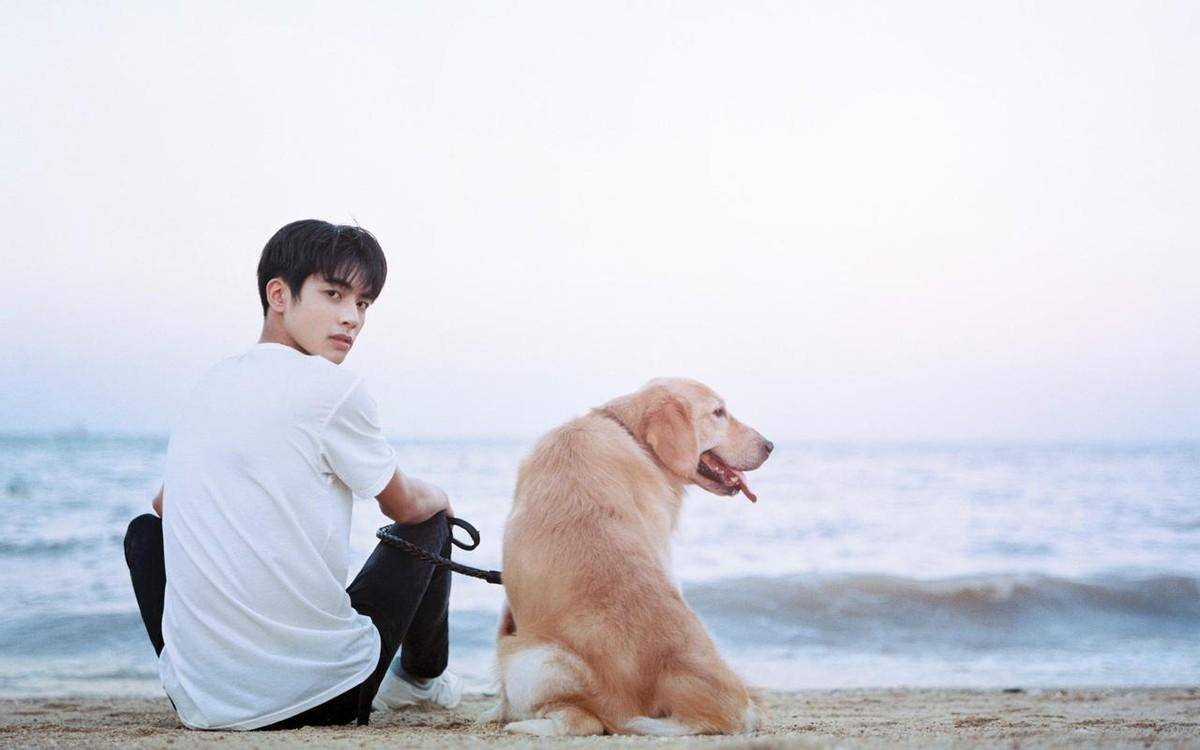 而且宋威龙的作品也是十分的高产,所以一直以来都非常的有热度,再加上