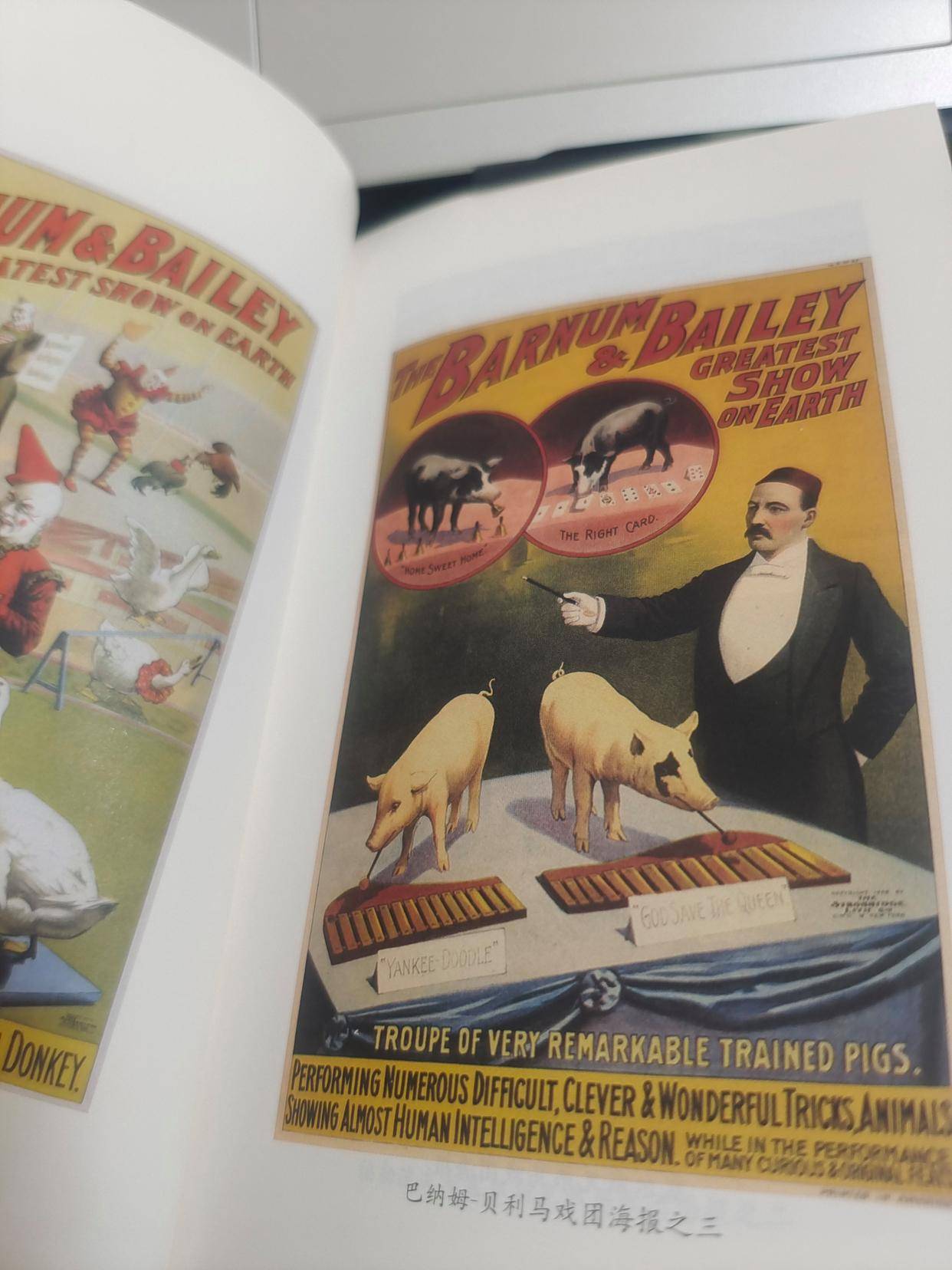 《小丑自传》:流浪在上个世纪的现实版"小王子"_表演_朱尔_柔术